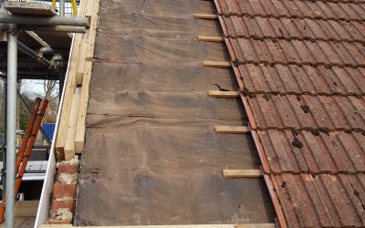 20220315_142122 20220315_142122