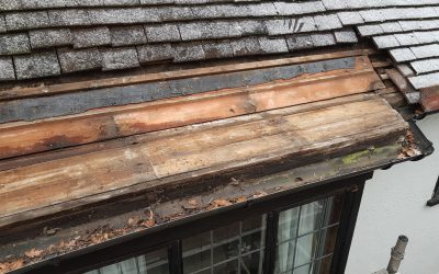 20221212_133012 20221212_133012