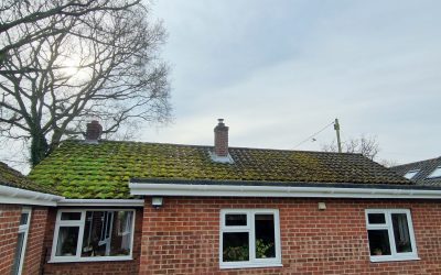 20250219_104429 20250219_104429